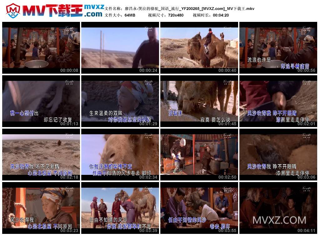 廖昌永-哭泣的骆驼_国语_流行_YF200265